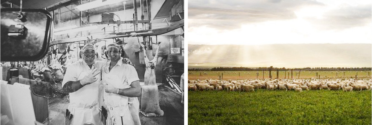 1742349164900052.jpg buu7.jpg